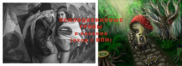 индика Чегем