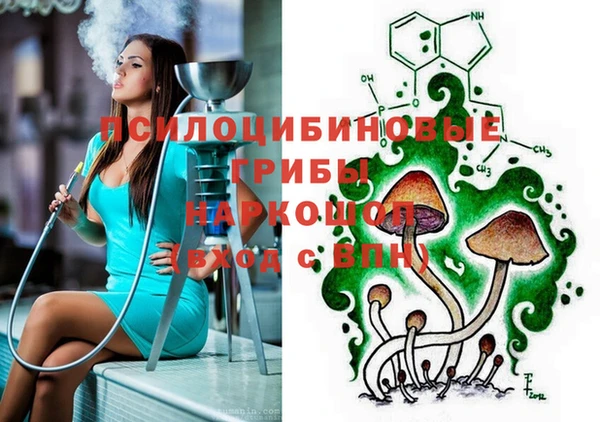 индика Чегем